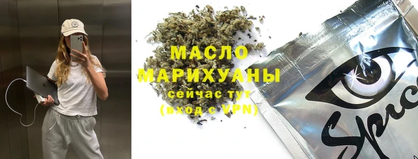гидра Зеленодольск