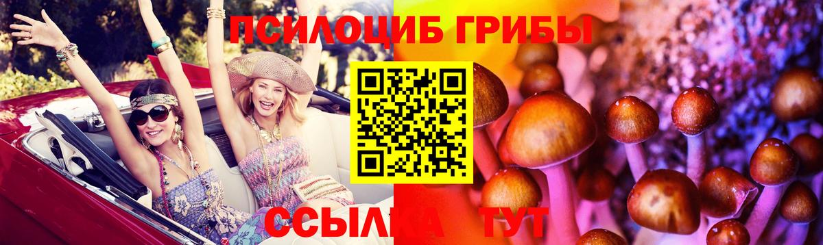 как найти   Вход с VPN  Ирбит  Галлюциногенные грибы Psilocybe 