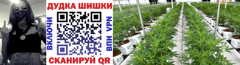 МАРИХУАНА LSD WEED Ирбит